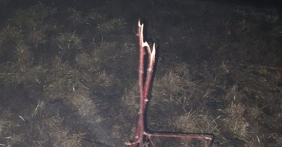 В Мариупольском районе сломали яблони