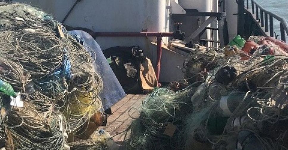 В сетях браконьеров в Азовском море обнаружили рыбы почти на миллион гривен (ФОТО+ВИДЕО)