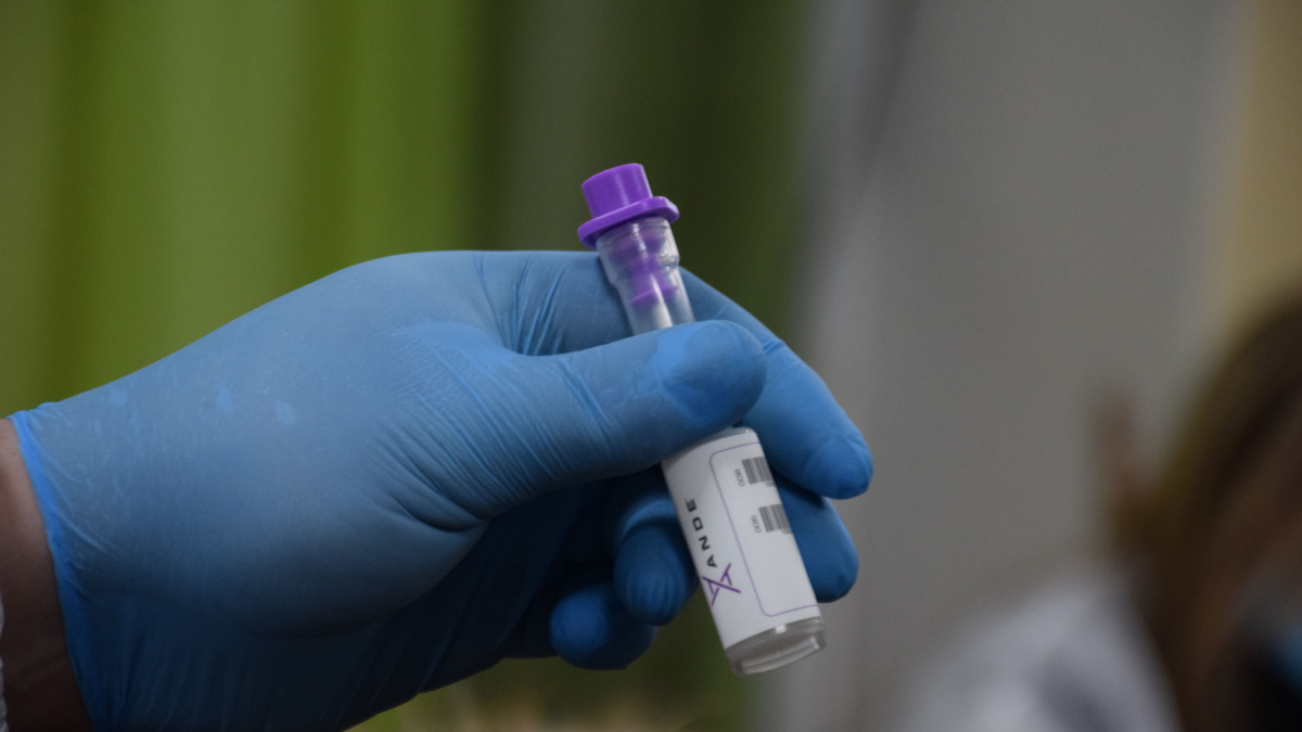 Пошук зниклих безвісти – українці за кордоном можуть здати ДНК