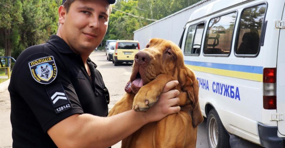 Служебные собаки помогли полицейским Донетчины с начала года раскрыть около 300 преступлений