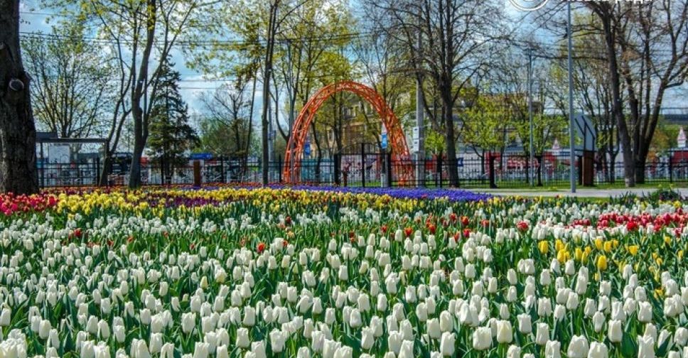 В мариупольском парке высаживают флаг Украины из виол (ФОТО)