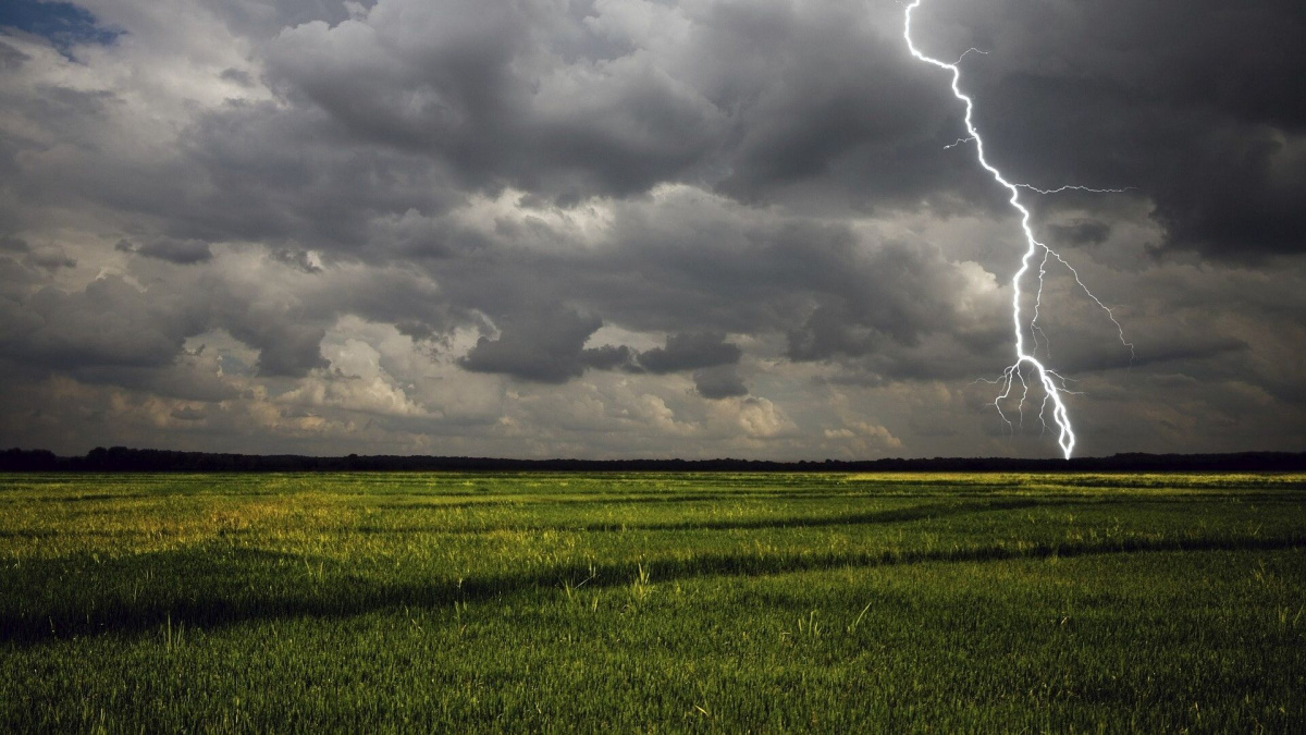 В Україну прийдуть грози та похолоднішає до +15 – прогноз від Наталки Діденко