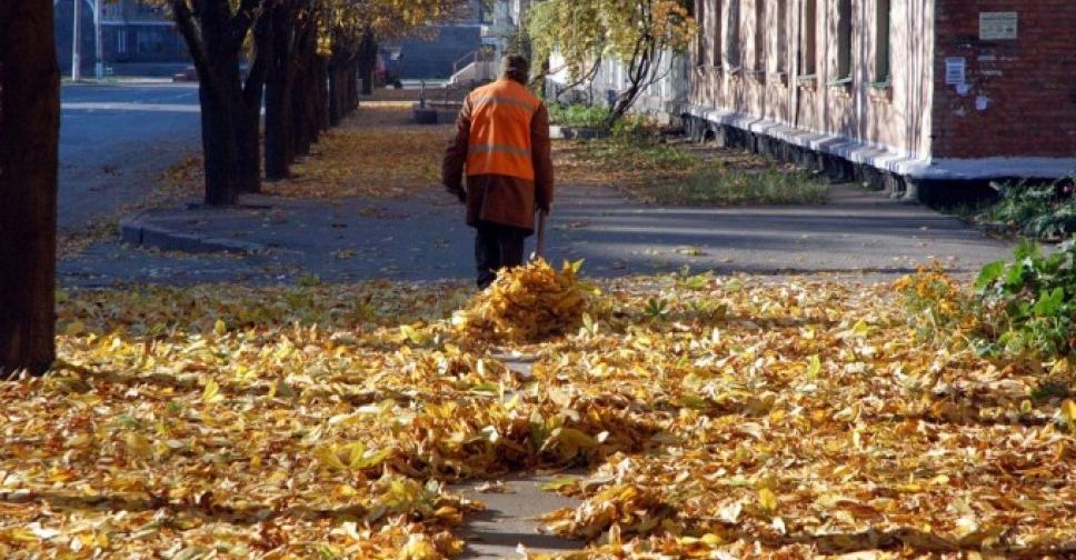 Мариупольцев призывают не выбрасывать листву в мусорные баки