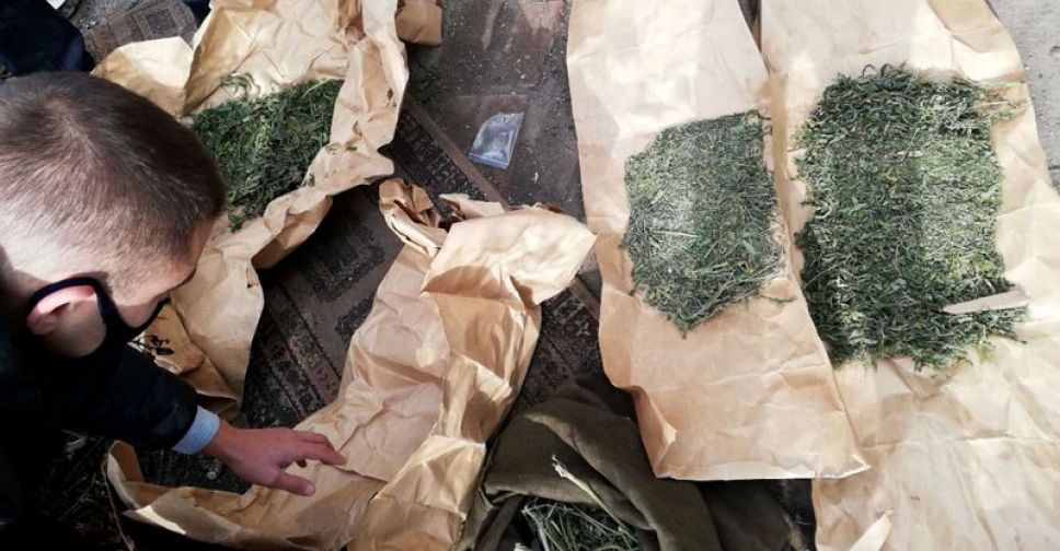 Мариуполец заготовил килограмм конопли