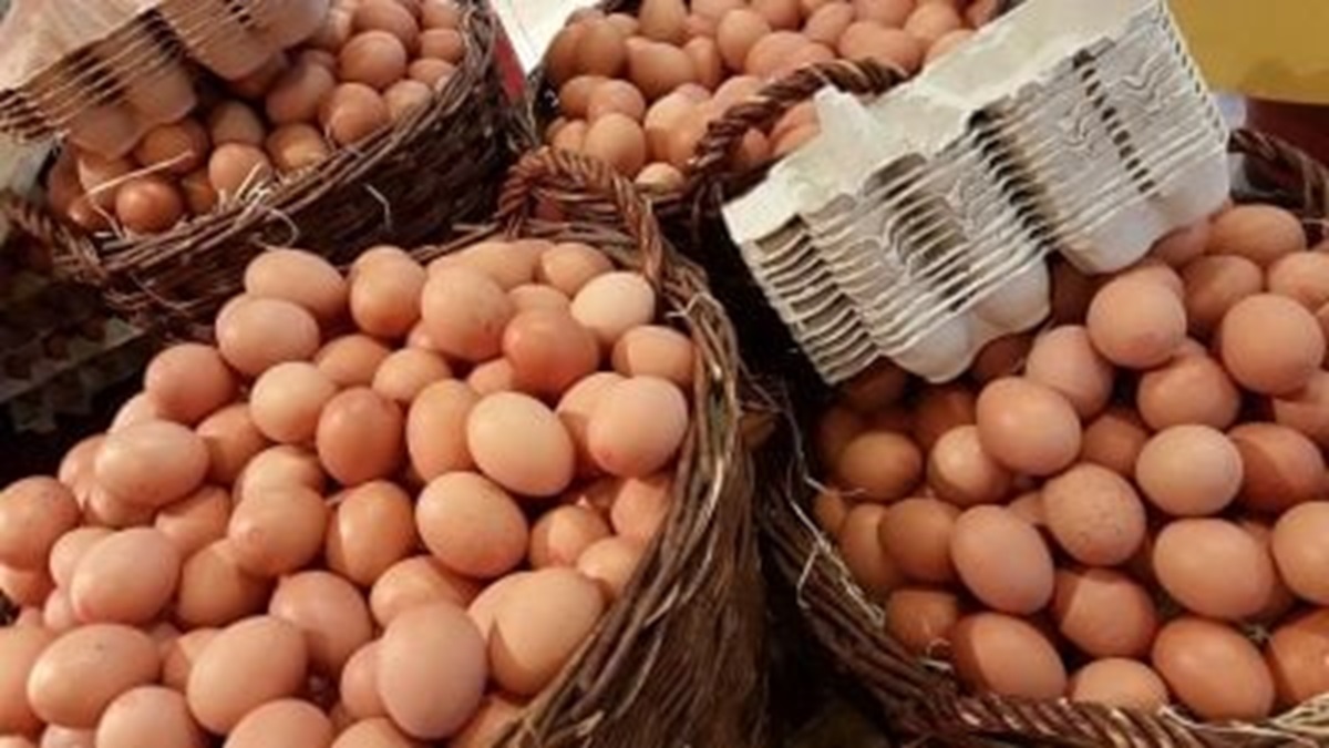 Пушилін залишився без яєць через спецоперацію Кадирова – подробиці