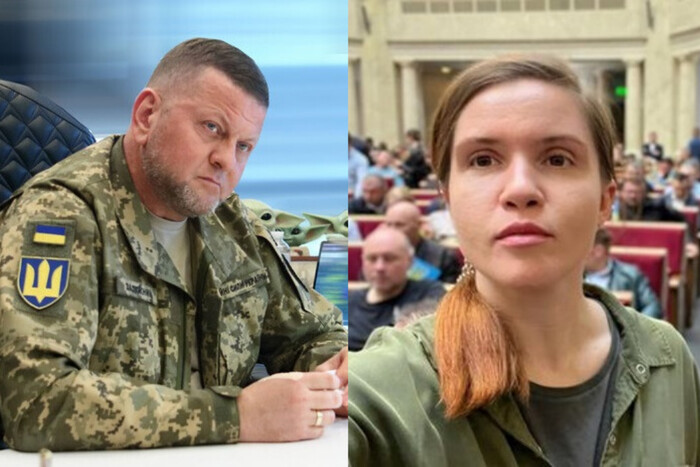 Мар'яна Безугла вимагає від Залужного план наступу: соцмережі відреагували