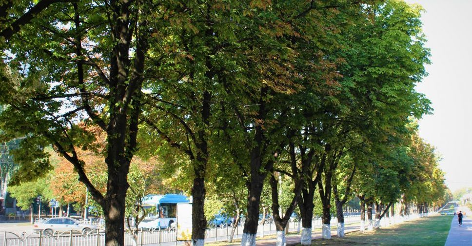 «Засентябрило» не по-осеннему: в Мариуполе температура отклоняется от нормы