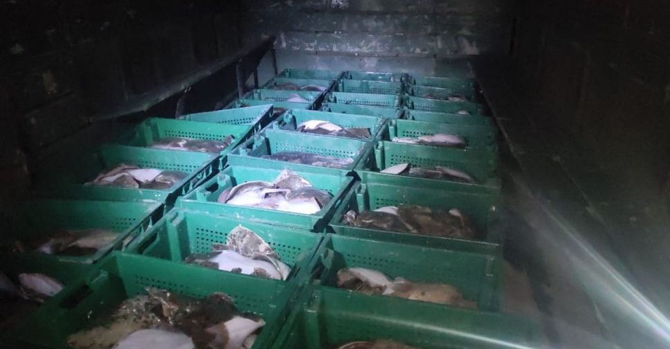 Под Мариуполем браконьеры незаконно выловили более 850 кг рыбы (ФОТО+ВИДЕО)