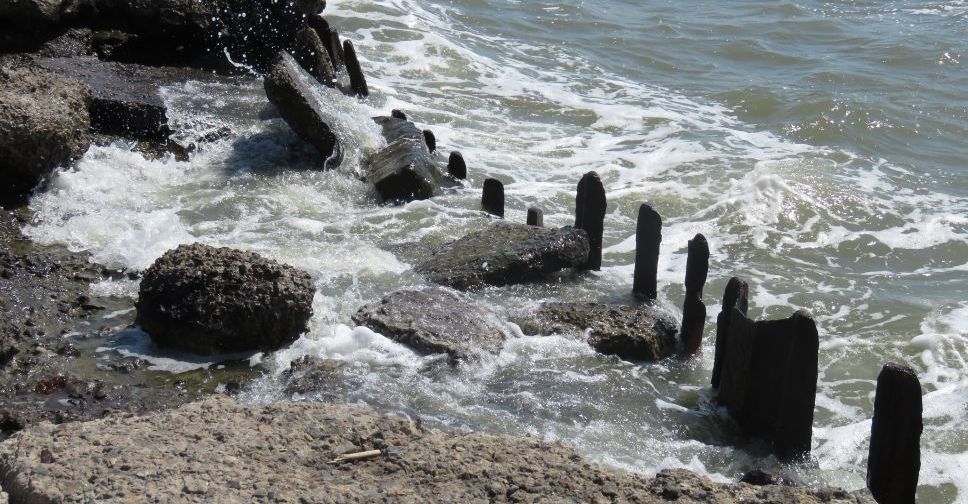 В морской воде на пляжах Мариуполя обнаружена кишечная палочка