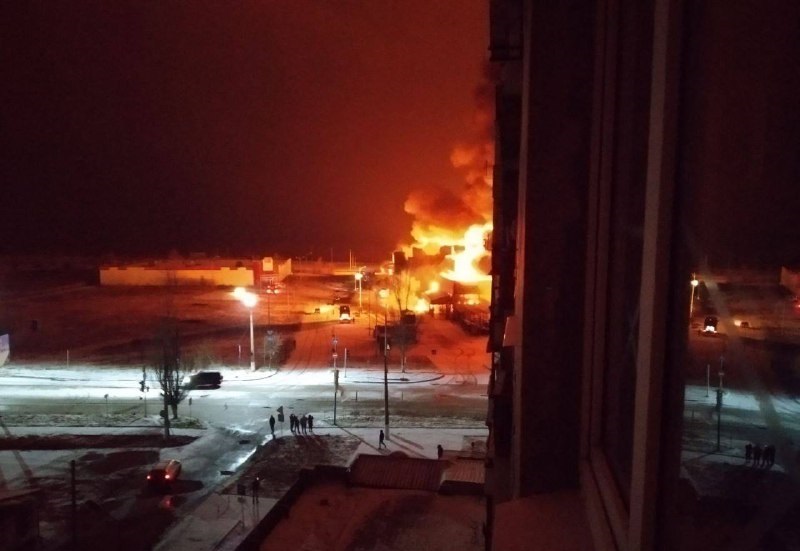 Бавовна розцвіла в тимчасово окупованій Горлівці