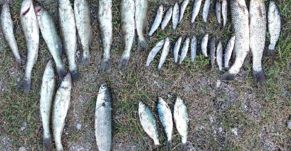 Незаконная рыбалка в Мариуполе обернулась мужчине предстоящим судом (ФОТО)