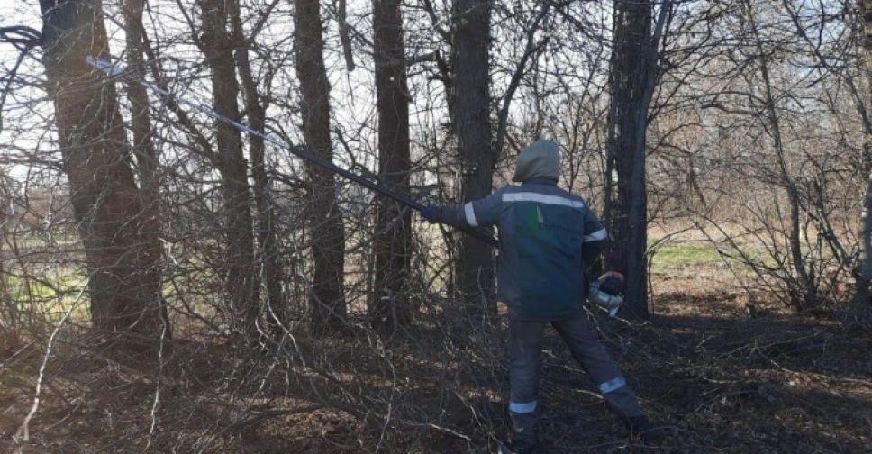 В Мариупольском районе проводят обрезку деревьев