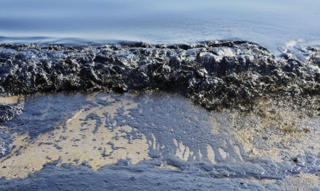 Загроза на столі: у Маріуполі продають отруєну рибу з Азовського моря