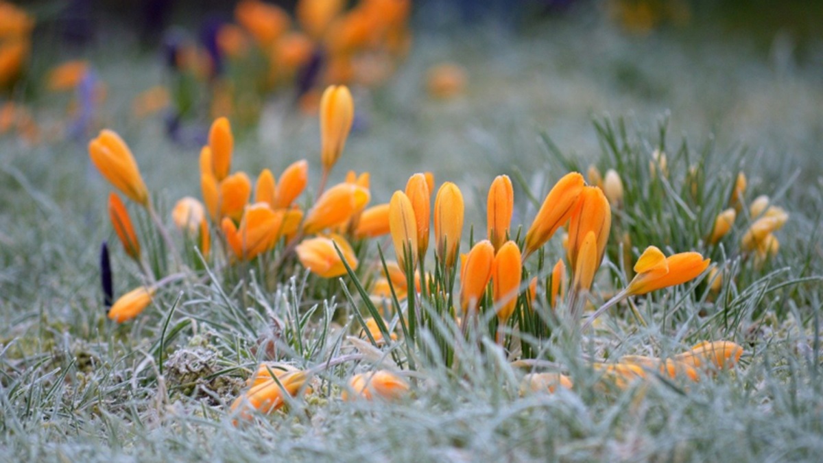 Повітря з Європи принесе в Україну похолодання: чи готуватися українцям до сильних морозів 4-10 березня