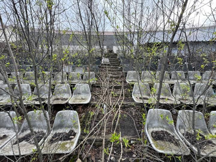 У Донецьку руйнується легендарний стадіон Шахтар: на полі виріс ліс - кадри шокували мережу