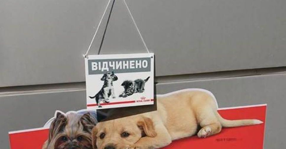 В Мариуполе волонтеры откроют Центр ветеринарной помощи (ФОТО)