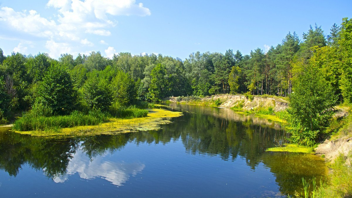 Ветеранам пропонують відпочинок та оздоровлення на Полтавщині – які умови