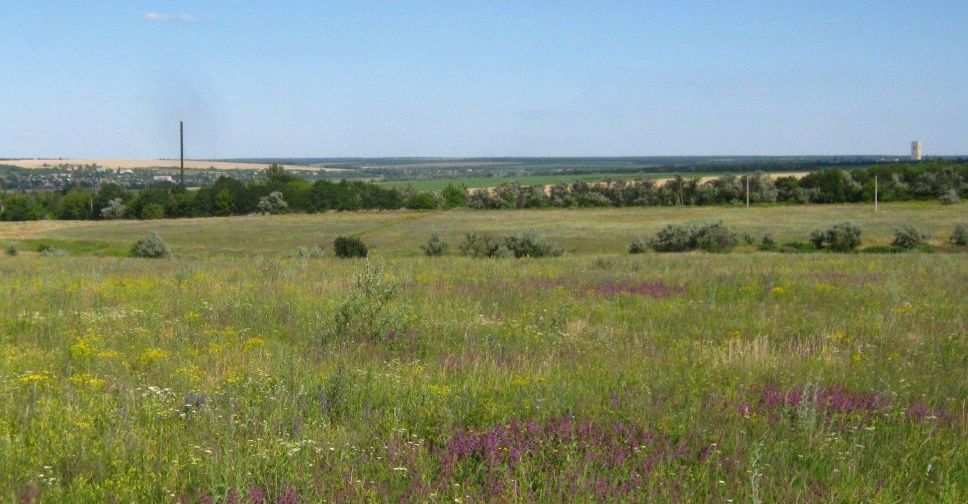 Создан заказник на месте отработанного карьера под Мариуполем