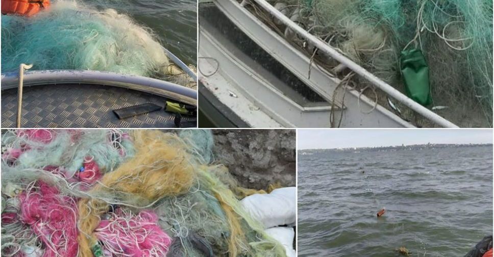 Пограничники выловили из Азовского моря порядка километра сетей с рыбой внутри (ФОТО)