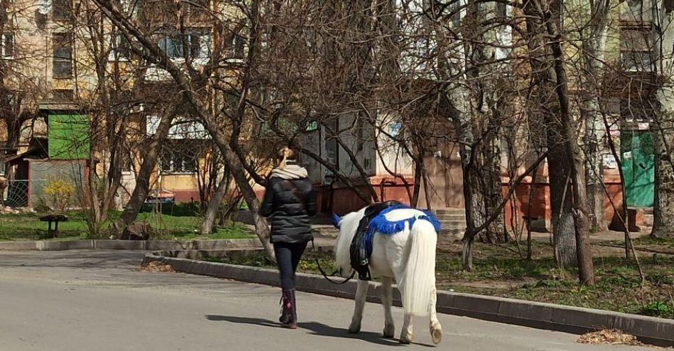 Пикник и поездка на пони: как мариупольцы проводят карантин? (ФОТОФАКТ)