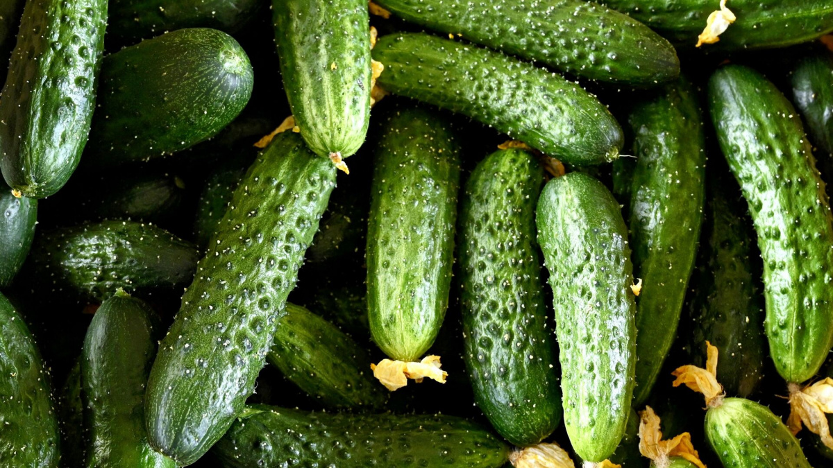 В Україні впали ціни на моркву та огірки – що прогнозують експерти