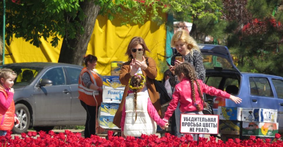 В Мариуполе расцвел ароматный тюльпановый рай для селфи и фотосессий (ФОТО+ВИДЕО)