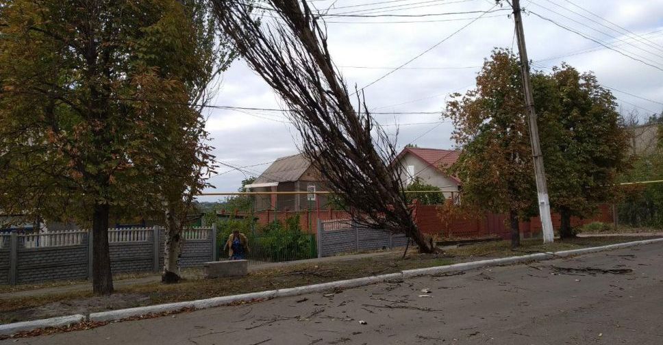 В мариупольском поселке тополь упал на линию электропередач (ФОТОФАКТ)