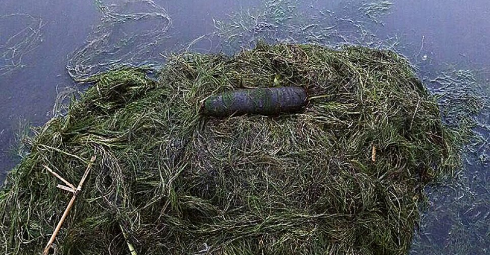 Подростки вытащили из реки в Мариуполе снаряд (ФОТО)