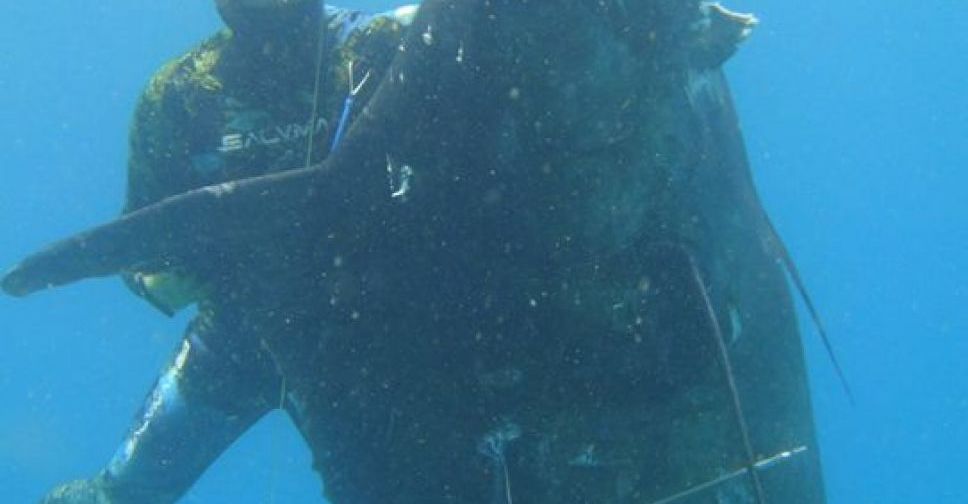 Подводные охотники из Мариуполя и Днепра загарпунили гигантскую 400-килограммовую рыбу (ФОТО+ВИДЕО)