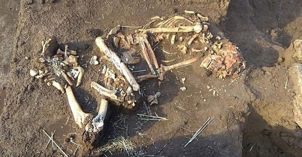 Под Мариуполем обнаружен скелет человека (ФОТО)