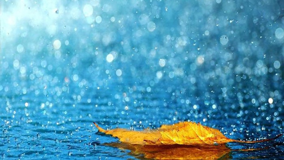 Повітряні маси з Європи принесуть в Україну дощі та тумани: прогноз погоди на тиждень