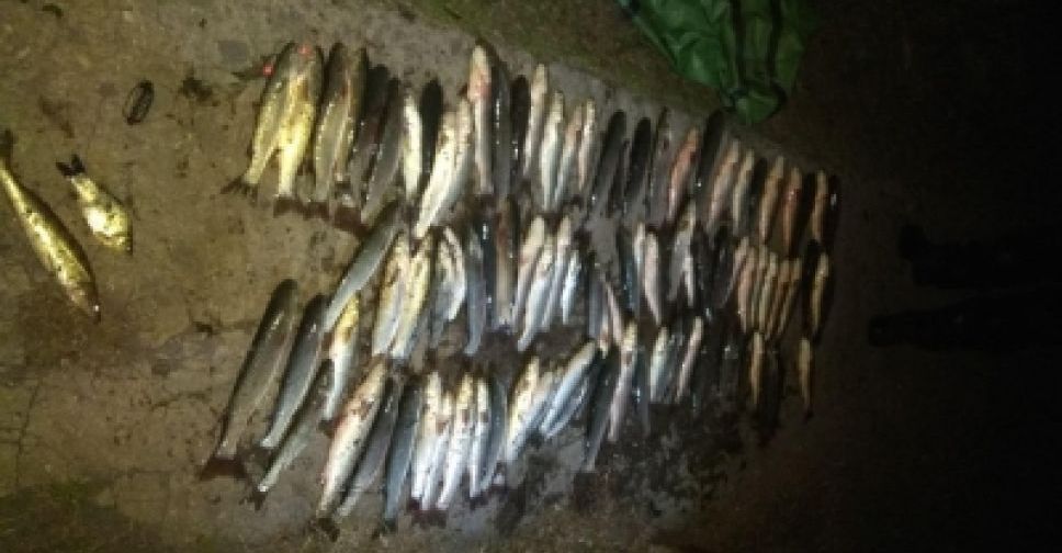 Мариупольские браконьеры не дают пиленгасу спокойно зимовать (ФОТО)