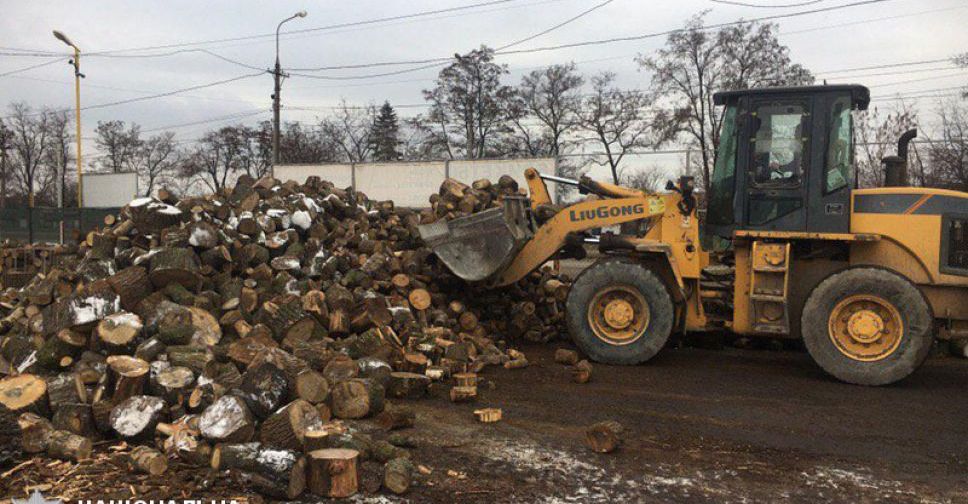 В Мариуполе нелегал-«лесоруб» уничтожал зеленые насаждения (ФОТО)