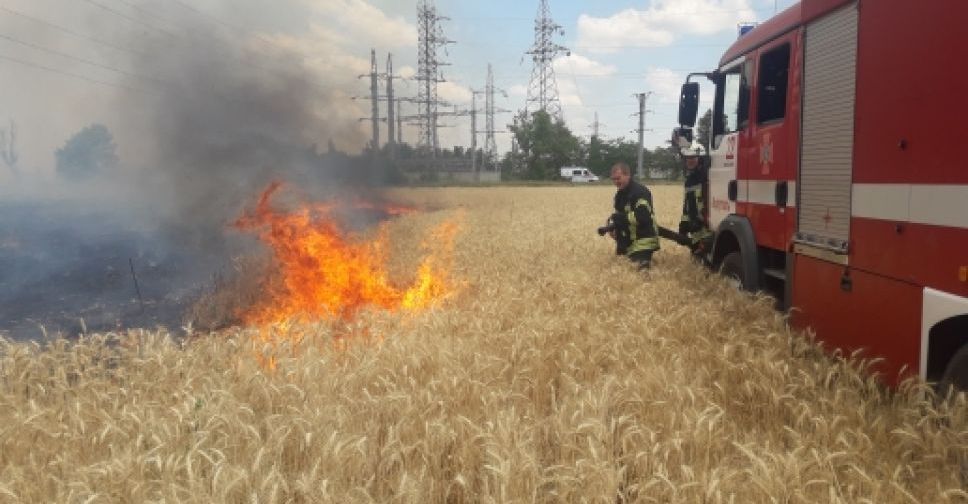 В Мариуполе масштабный пожар около торгового центра уничтожил тонны пшеницы (ФОТО)