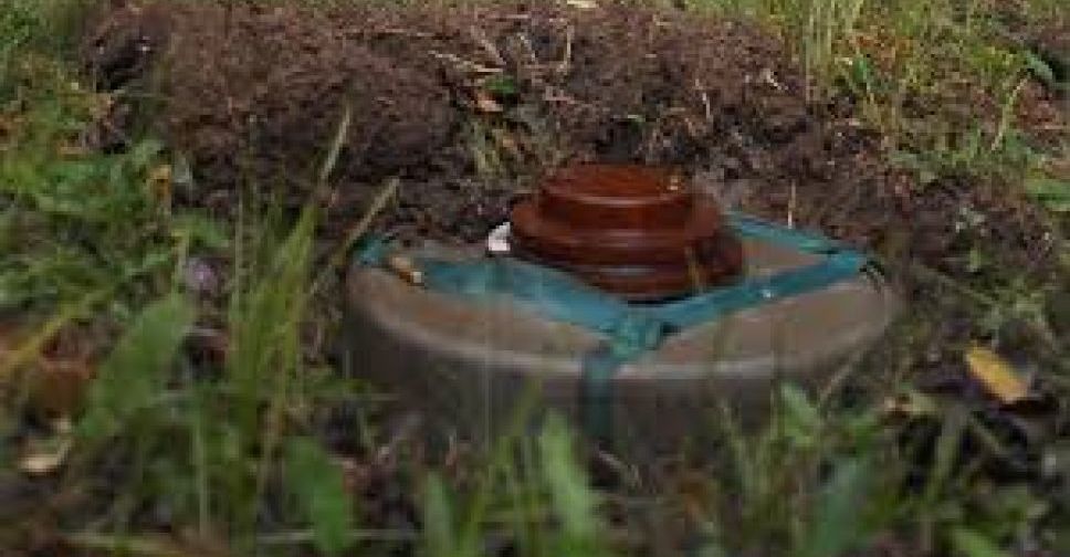 Под Мариуполем взрывоопасные вещества развешены на проводах и деревьях