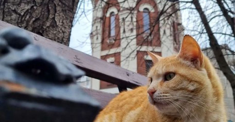 Туристический объект в Мариуполе возобновил прием посетителей