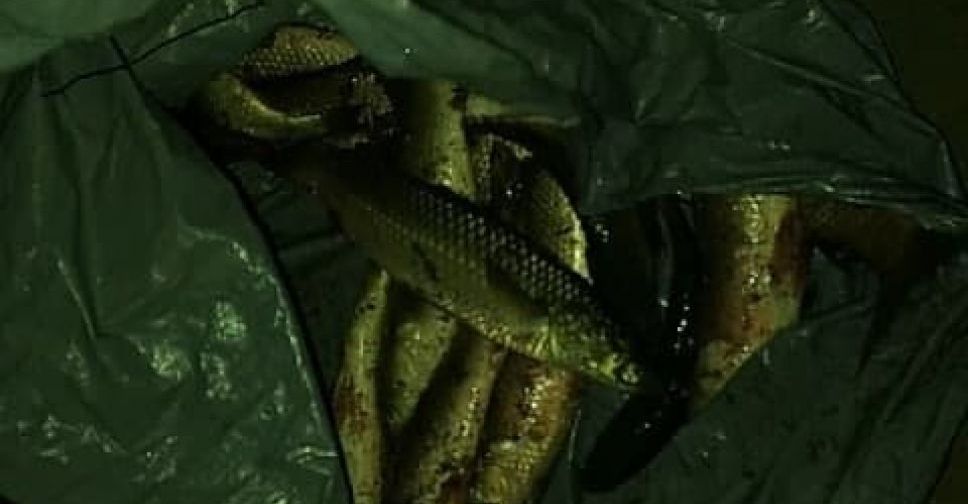 На Левобережье Мариуполя с поличным поймали браконьера