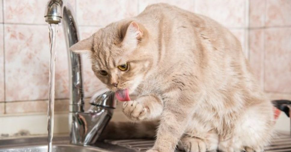 Часть улиц Мариуполя останется без воды и света