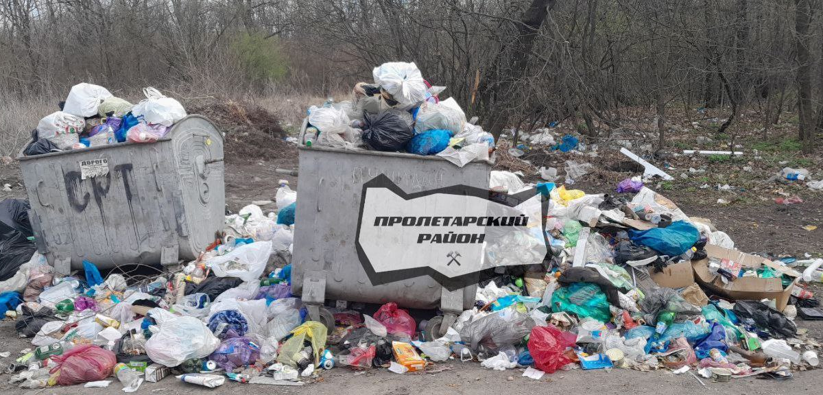 Мешканців Донецька виселяють щурі: гризуни та сміття перетворили життя в місті на катастрофу