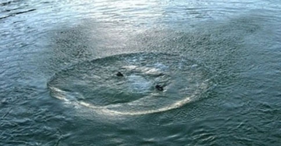 В Мариуполе из реки достали тело мужчины