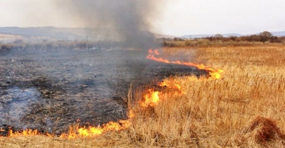 Донетчину «накрыли» пожары из-за сухостоя