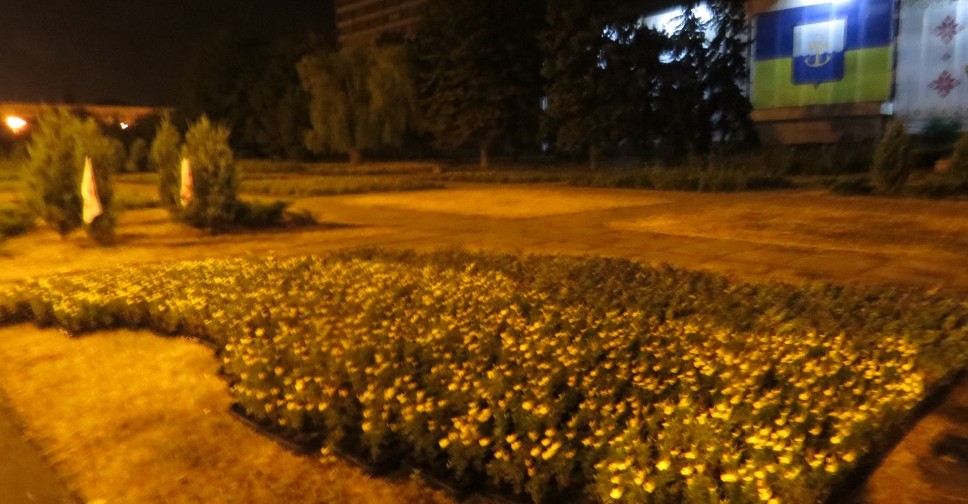 Цветочное знамя Украины разобрали школы и детсады Мариуполя (ФОТО)