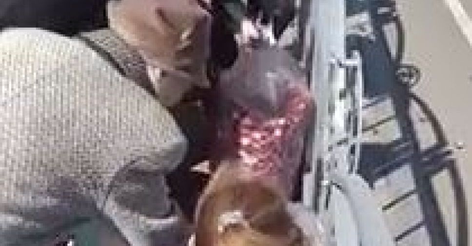В Мариуполе фермеры вынесли мешки с редисом на площадь: овощи разбирали бесплатно (ВИДЕО)