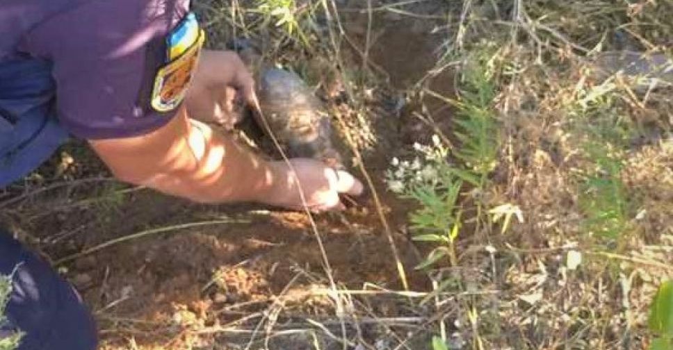 В Мариуполе возле дома нашли снаряд