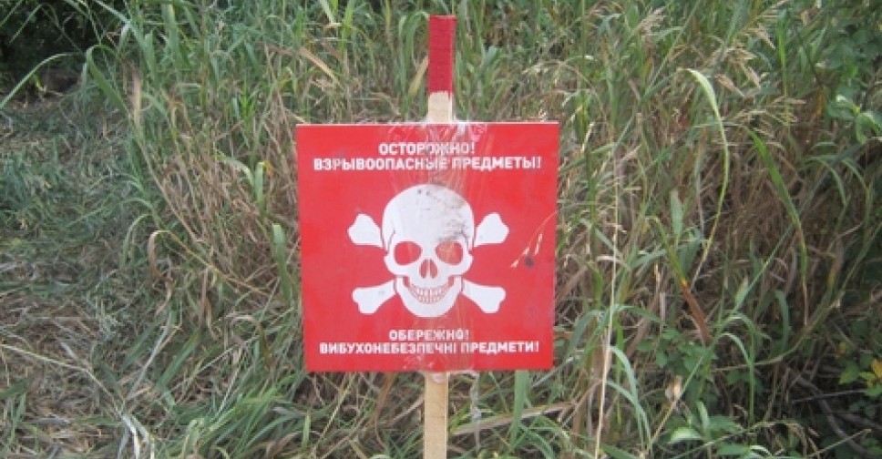 На Донетчине пиротехники уничтожили 12 взрывоопасных предметов