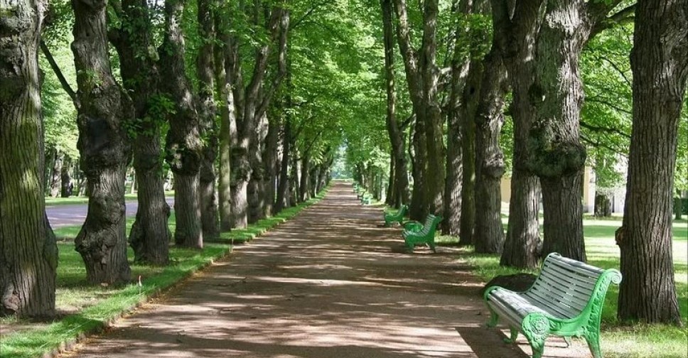 В центре Мариуполя местные жители облагородили парковую аллею (ФОТО)