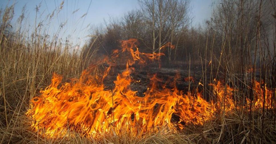 На Донетчине объявили чрезвычайную пожарную опасность
