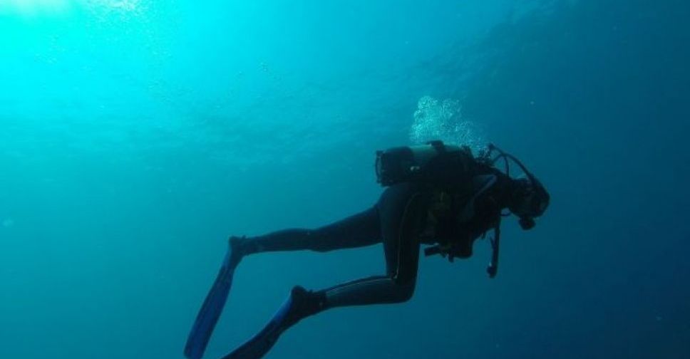 Сети, ножи и стулья на морском дне: водолазы чистят акваторию Азовского моря от опасных для жизни мариупольчан предметов (ВИДЕО)