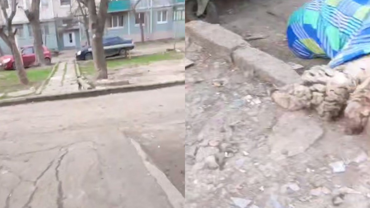 Деградація Маріуполя: окупанти влаштували забій тварин у дворах житлових будинків