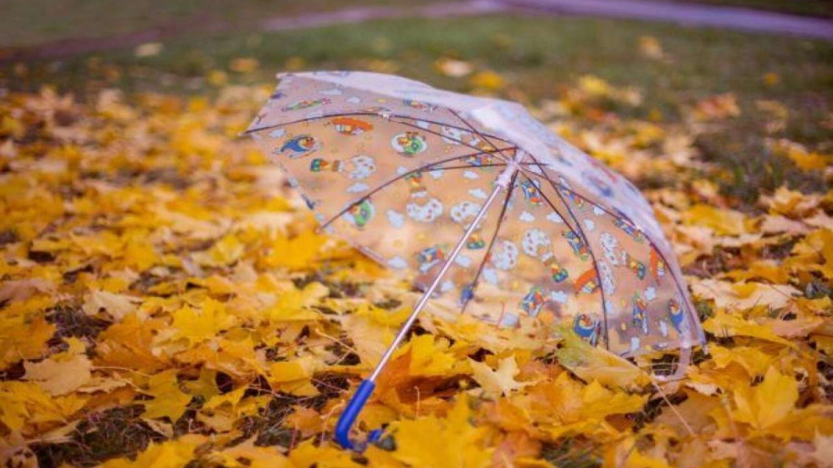 Аномально теплий, але дощовий: яким буде тиждень з 6 по 12 листопада в Україні